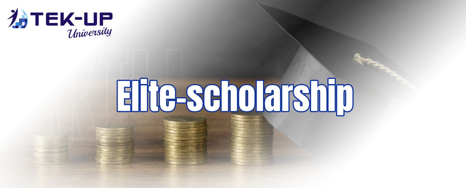 Elite Scholarship